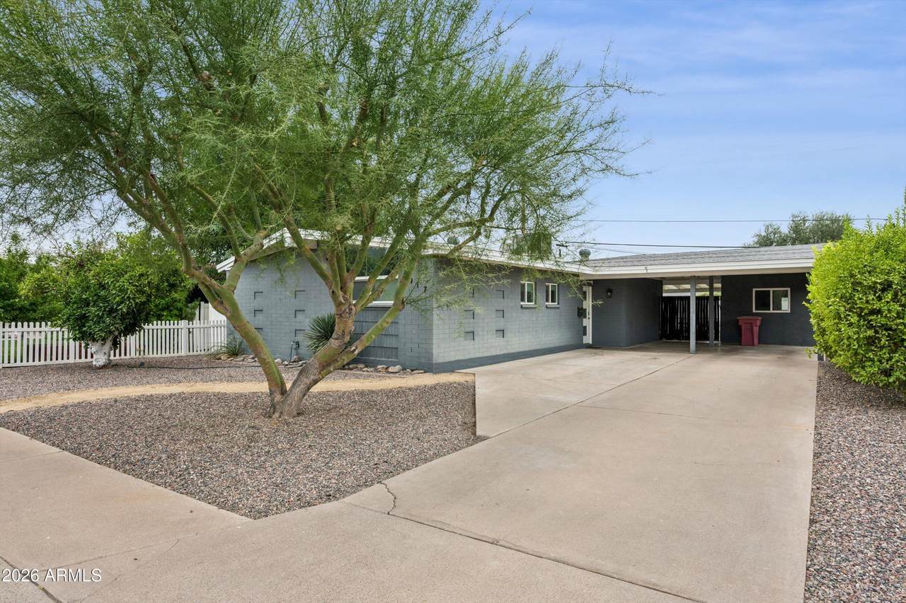 6917 Earll Drive - Photo 1