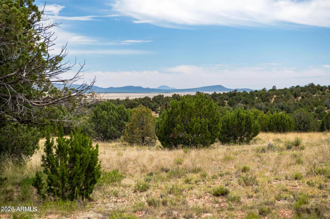000-B Pine Ridge Trail Rd - Photo 1