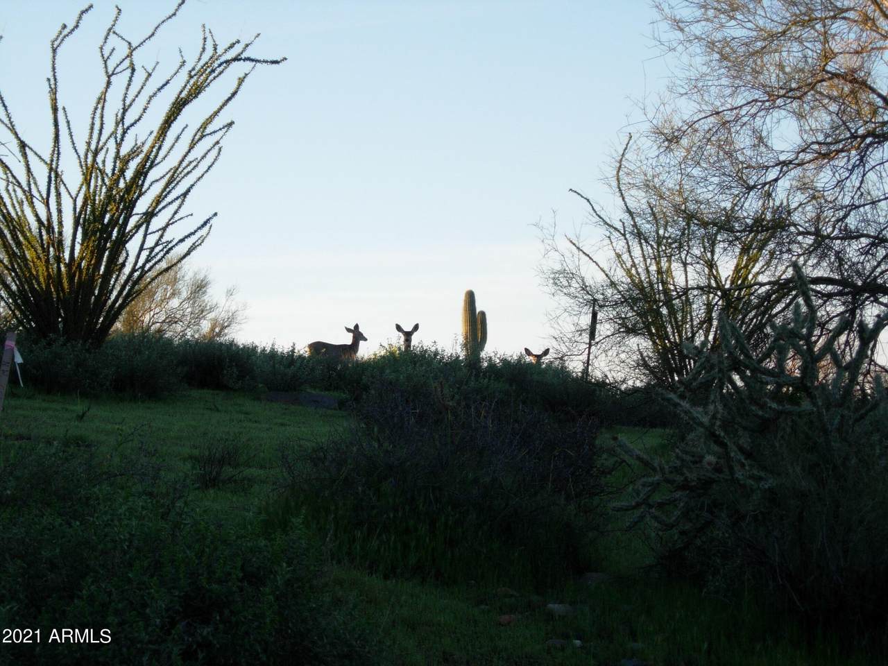 https://bt-photos.global.ssl.fastly.net/armls/1280_boomver_1_7062900-2.jpg