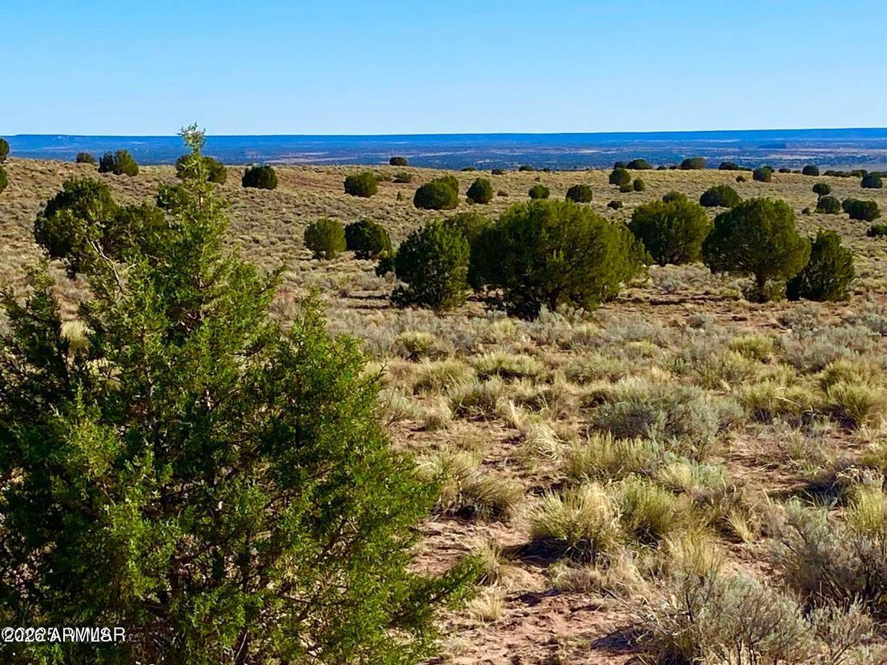 River Meadows Ranch Unit 3 Lot 204 - Photo 1