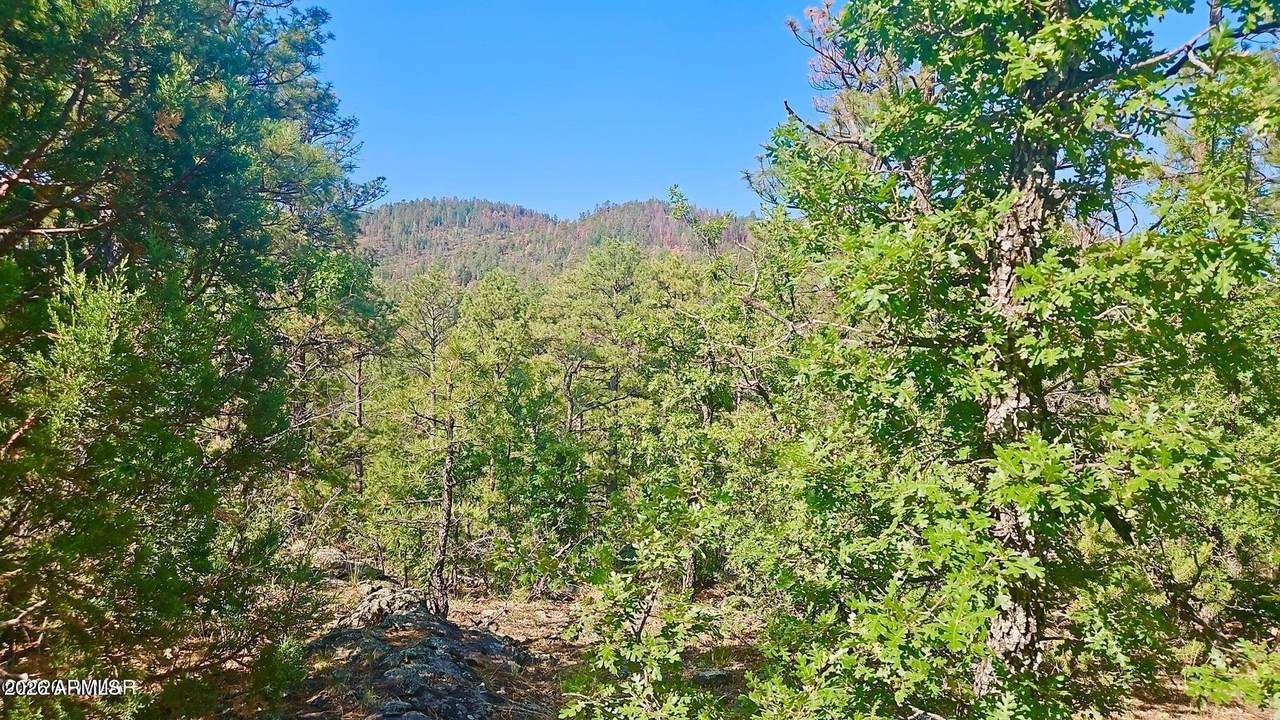 29 Co Rd 3199 - Photo 1