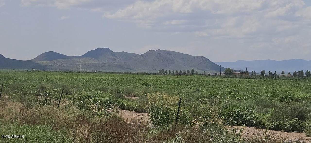 20 Acres Robison Road - Photo 1