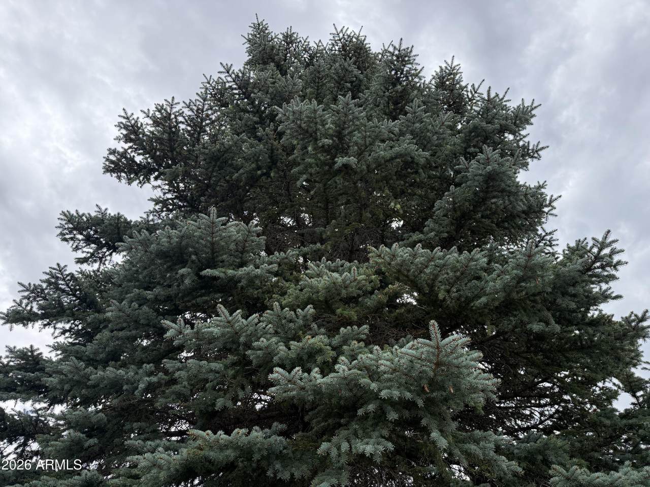 https://bt-photos.global.ssl.fastly.net/armls/1280_boomver_1_7064970-2.jpg