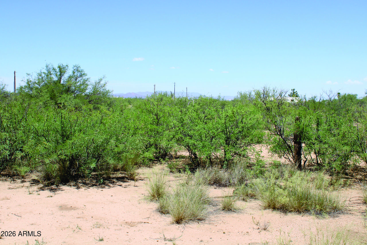 5 Acres Papago Way - Photo 1