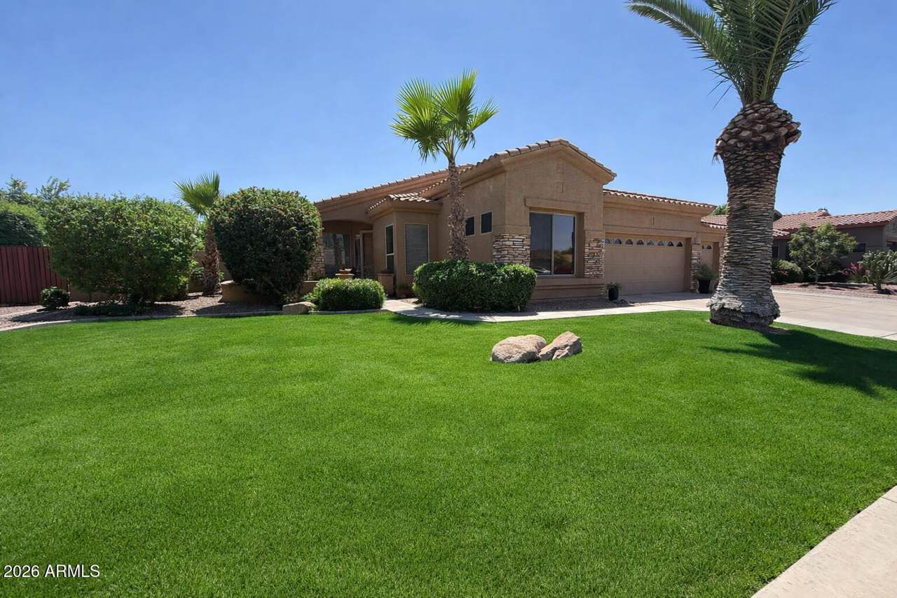 1523 Del Rio Street - Photo 1