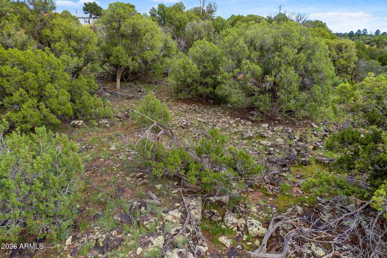 8281 &8283 Ridge Drive - Photo 1