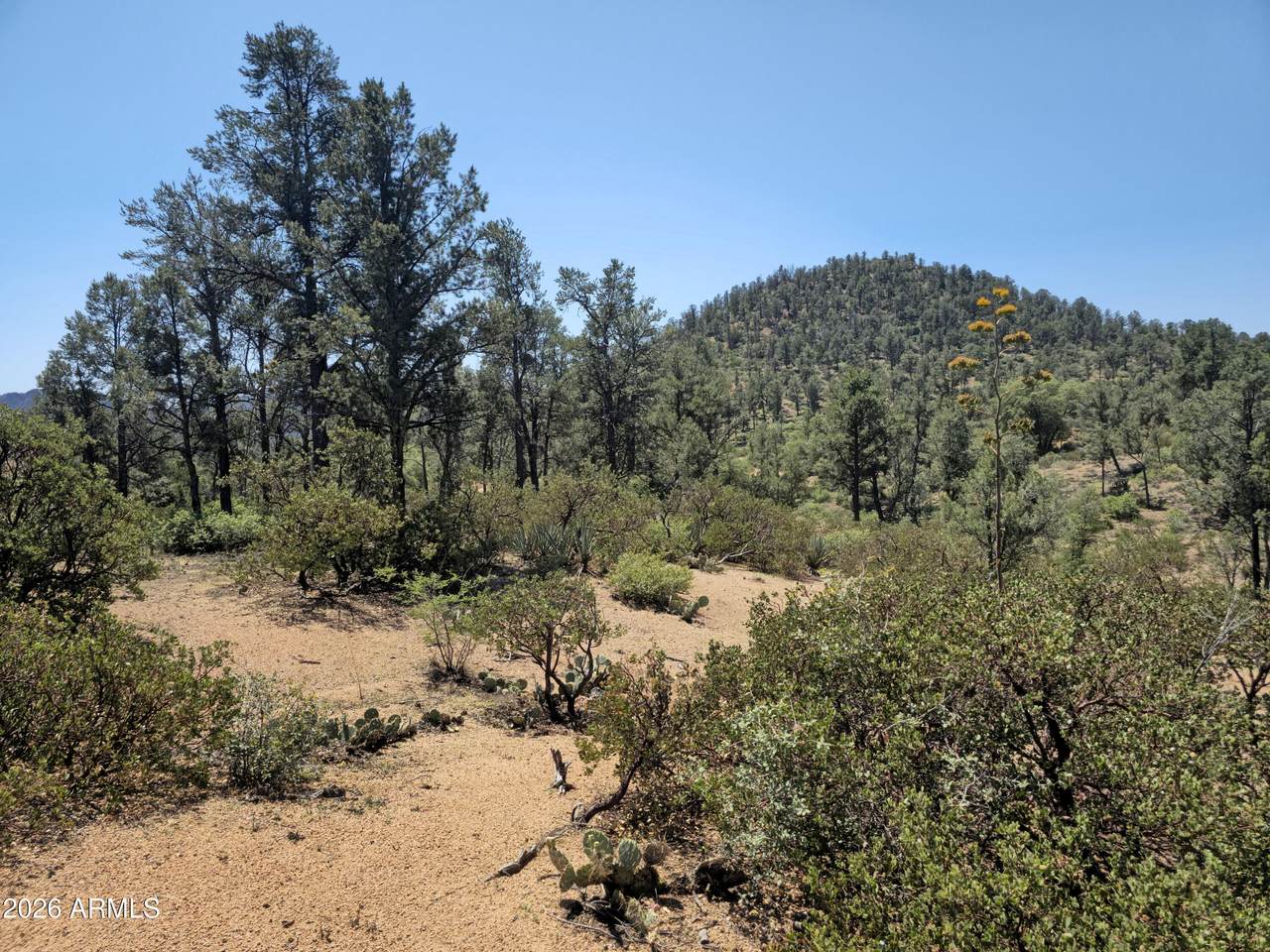 2400 Rim Club Drive - Photo 1