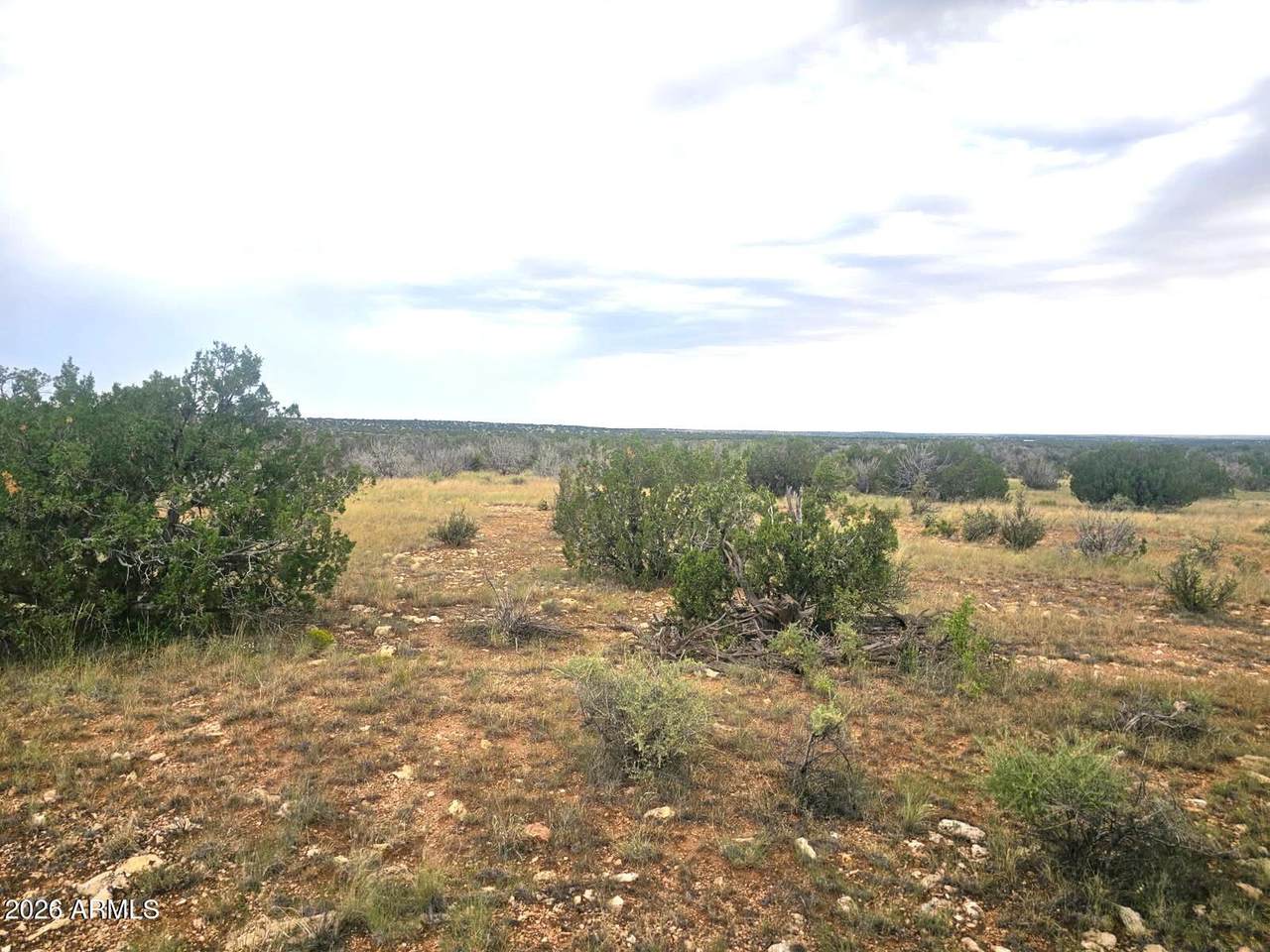 5075 Sidlyn Road - Photo 1