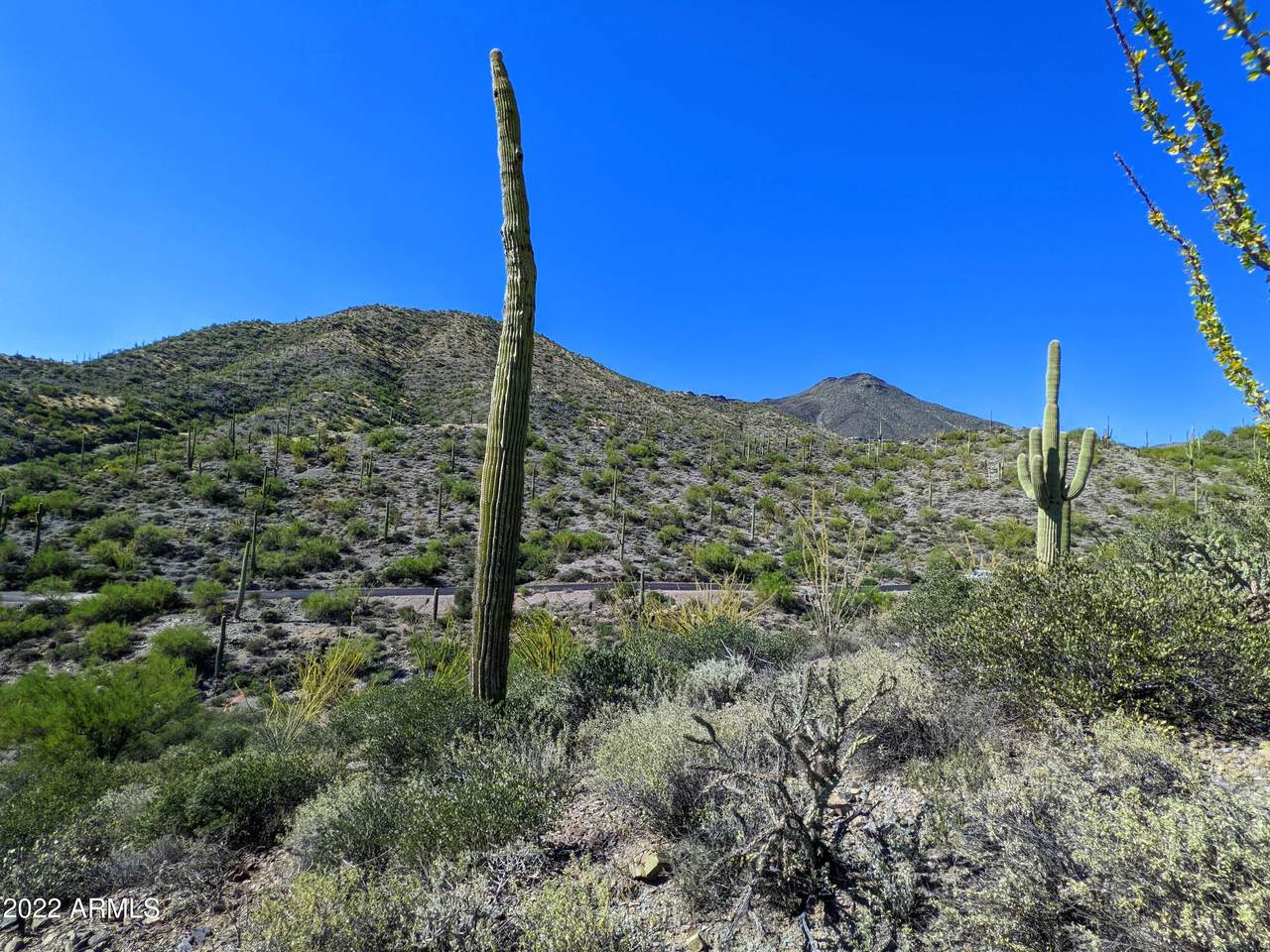 https://bt-photos.global.ssl.fastly.net/armls/1280_boomver_1_7074251-2.jpg