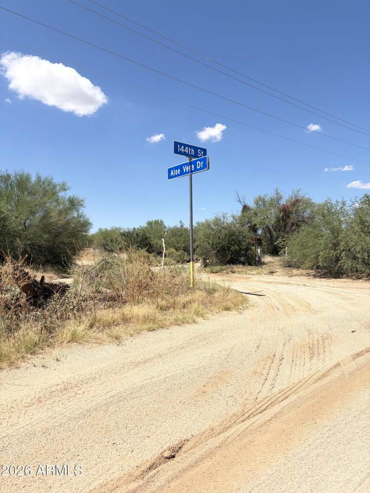 144 Aloe Vera Drive - Photo 1