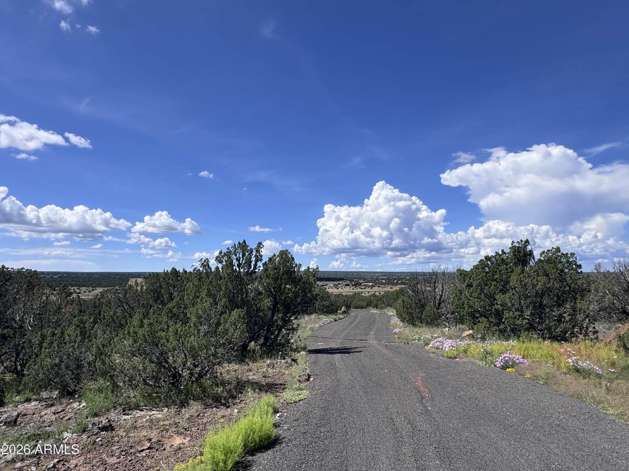 1939 Bourdon Ranch Road - Photo 1