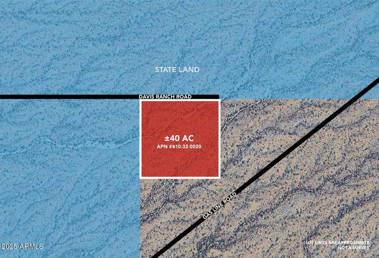 +/-40acres Davis Ranch Road - Photo 1