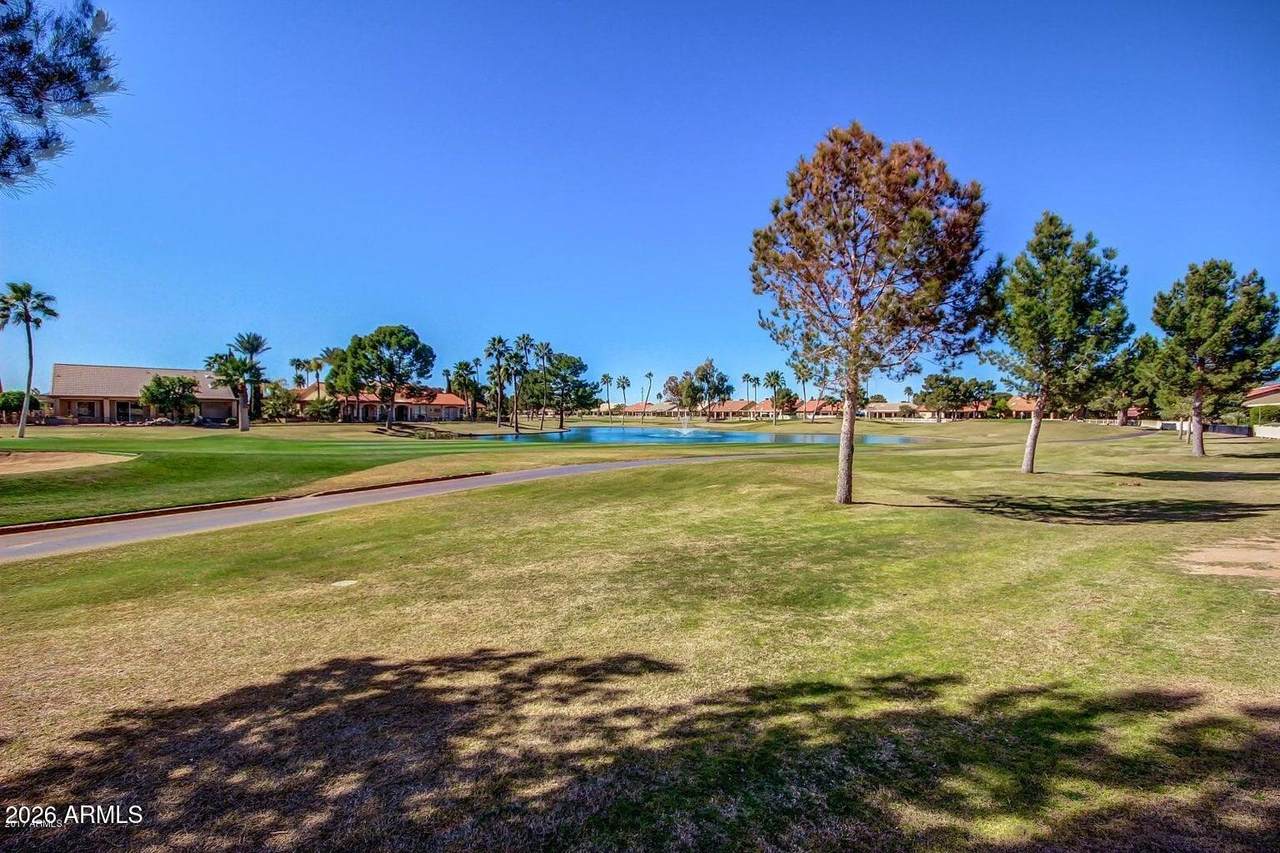 25236 Flame Tree Drive - Photo 1