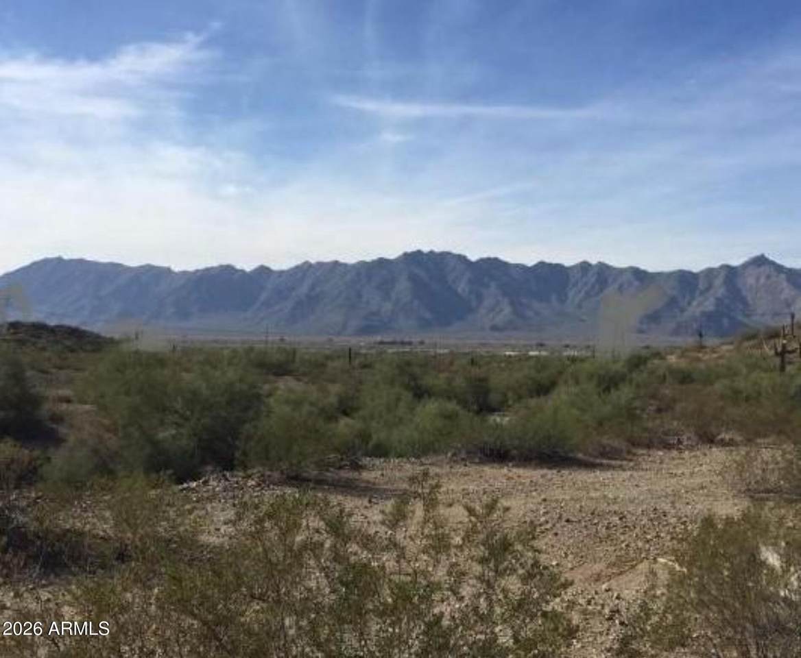 xxxx Mountain Vista Drive - Photo 1