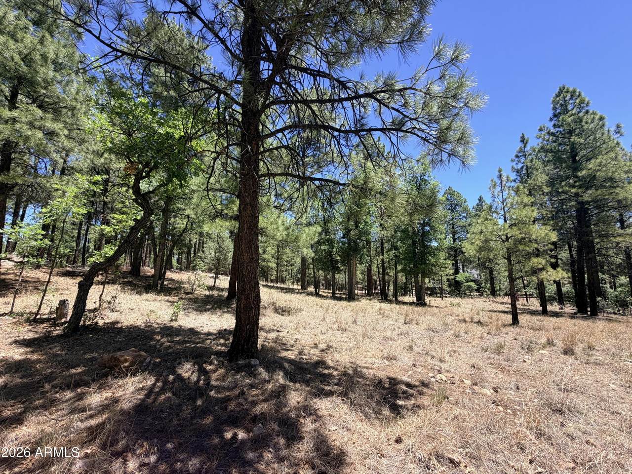 4215 Apache Drive - Photo 1