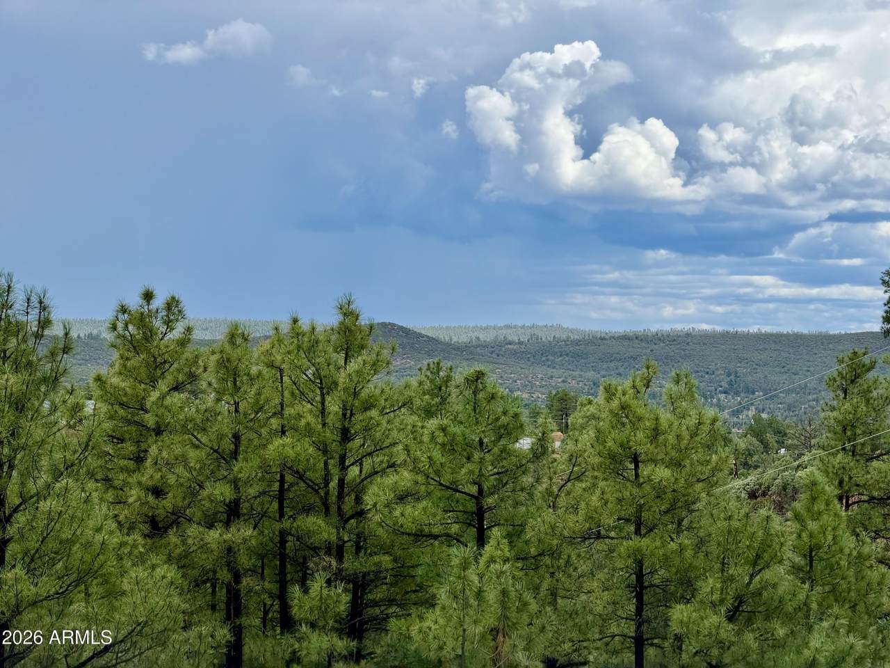 6292 Fawn Lane - Photo 1