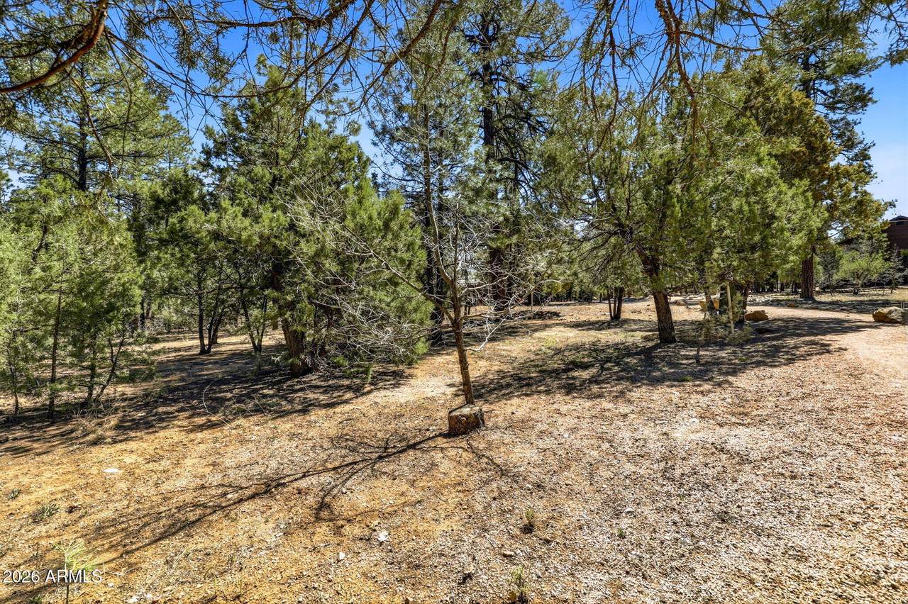 5039 Winter Hawk Court - Photo 1