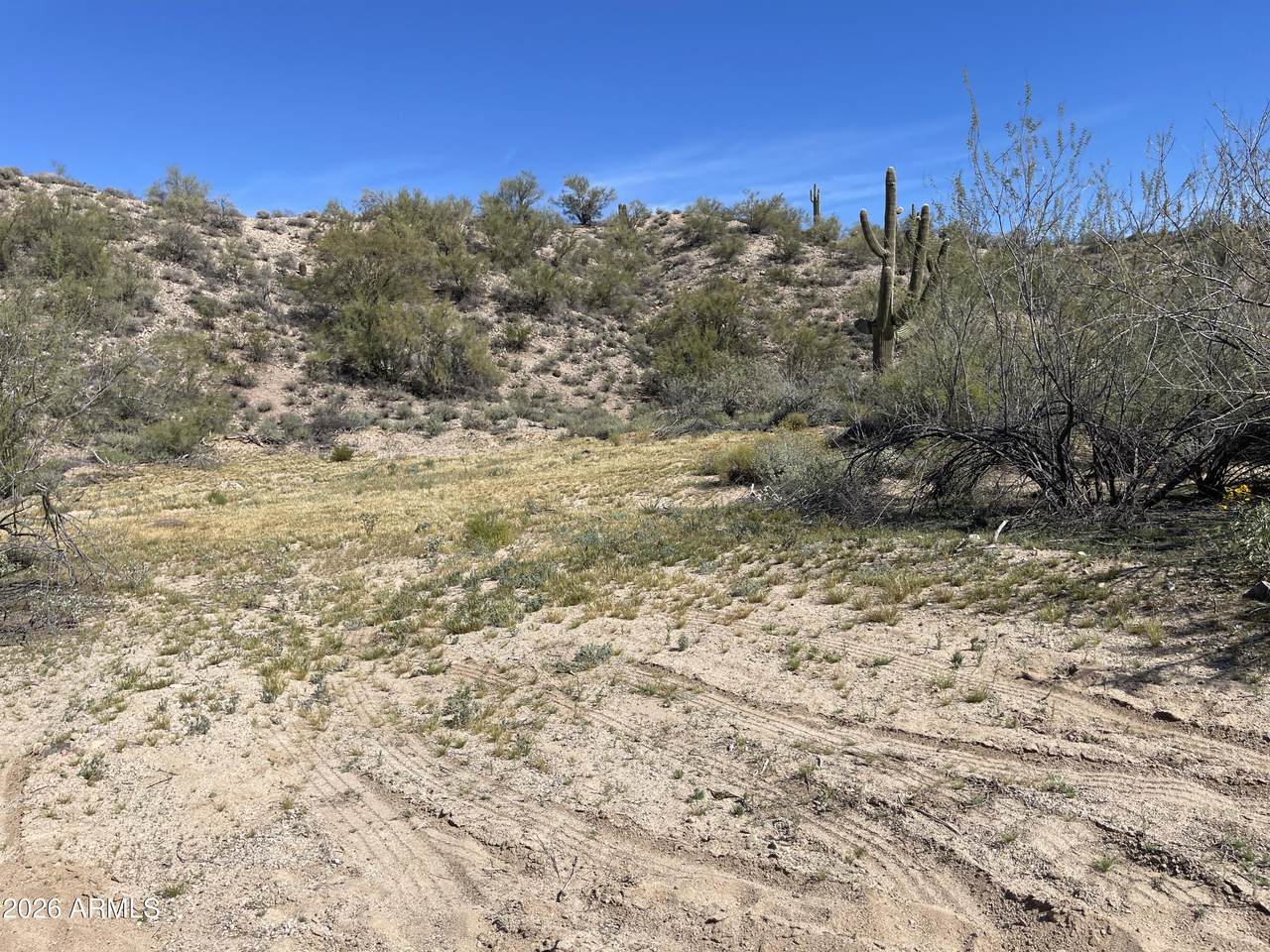 41XX4 276th Avenue - Photo 1