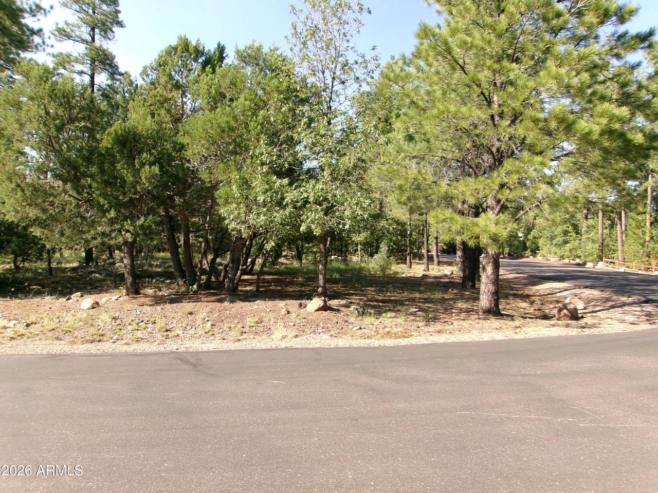301 Huckleberry Lane - Photo 1