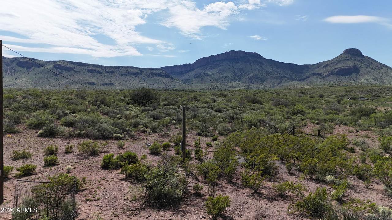 40 ac Wildcat Road - Photo 1