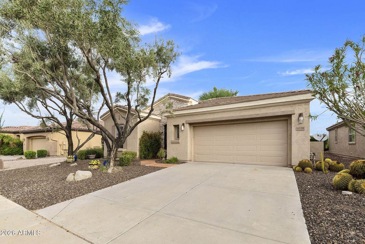 4228 Carob Drive - Photo 1