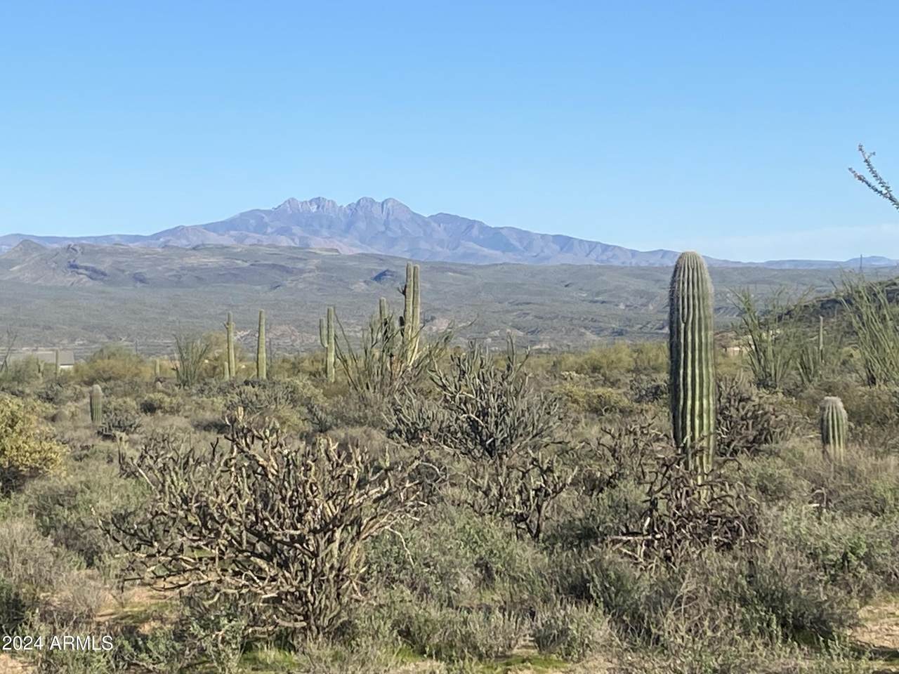164xx Morning Vista Drive - Photo 1