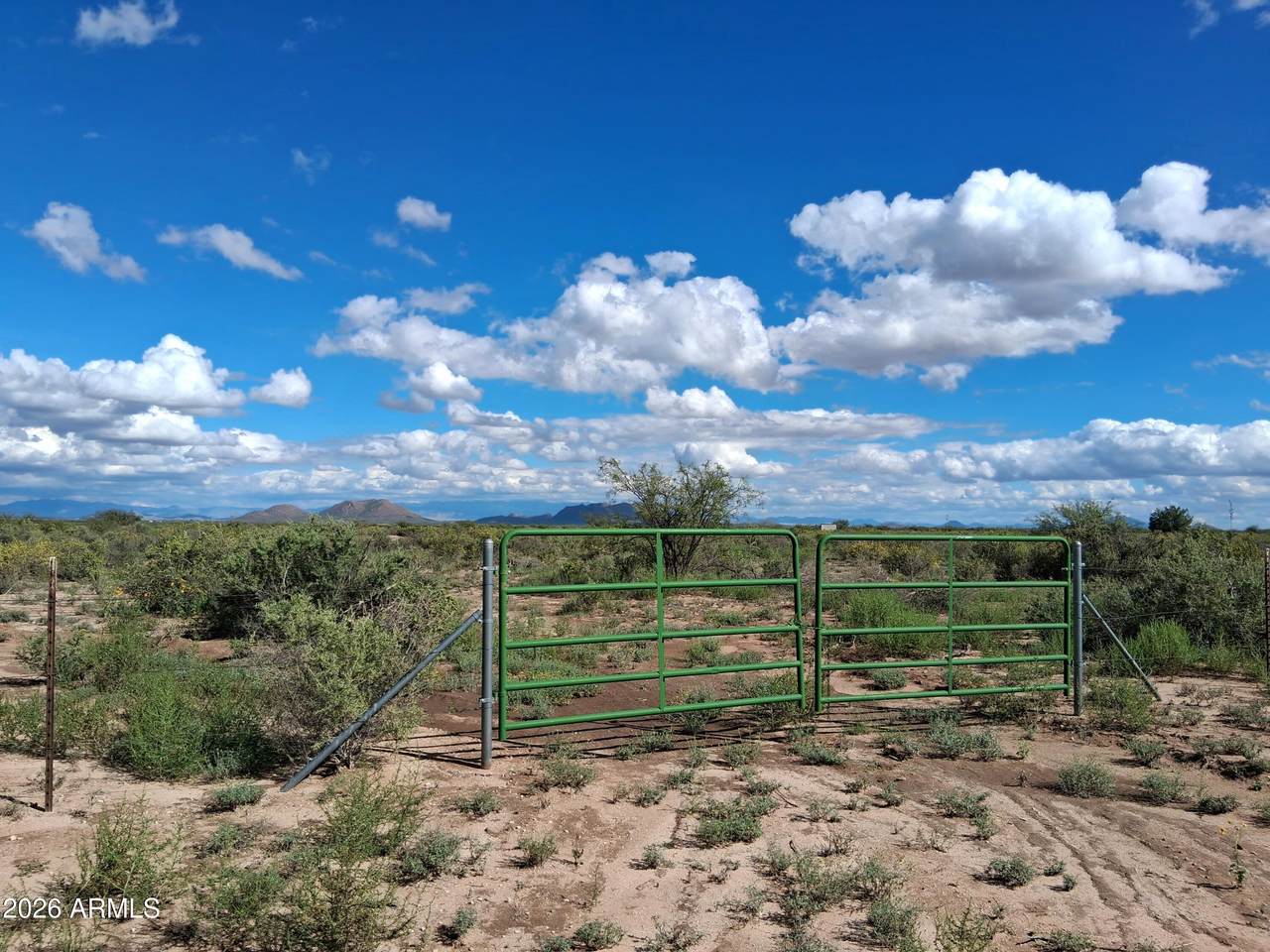 TBD Cottontail Lane - Photo 1