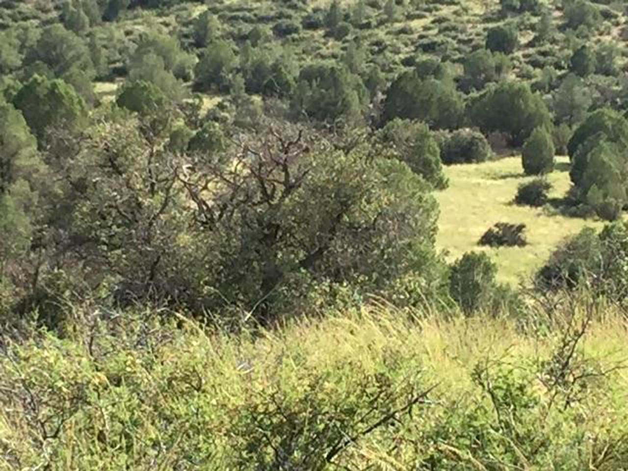 0 Cowboy Springs Trail - Photo 1