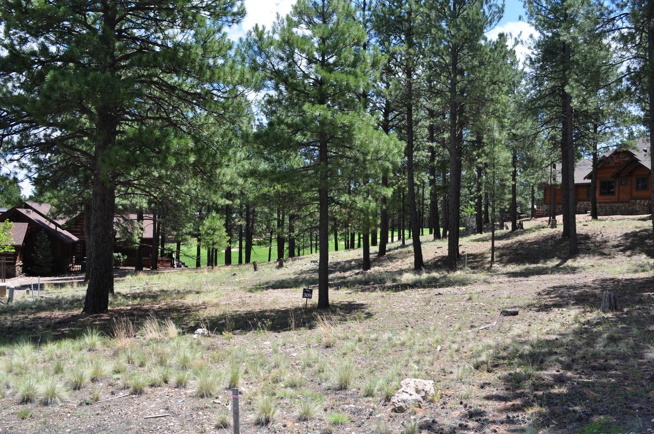 3925 Clubhouse Circle - Photo 1