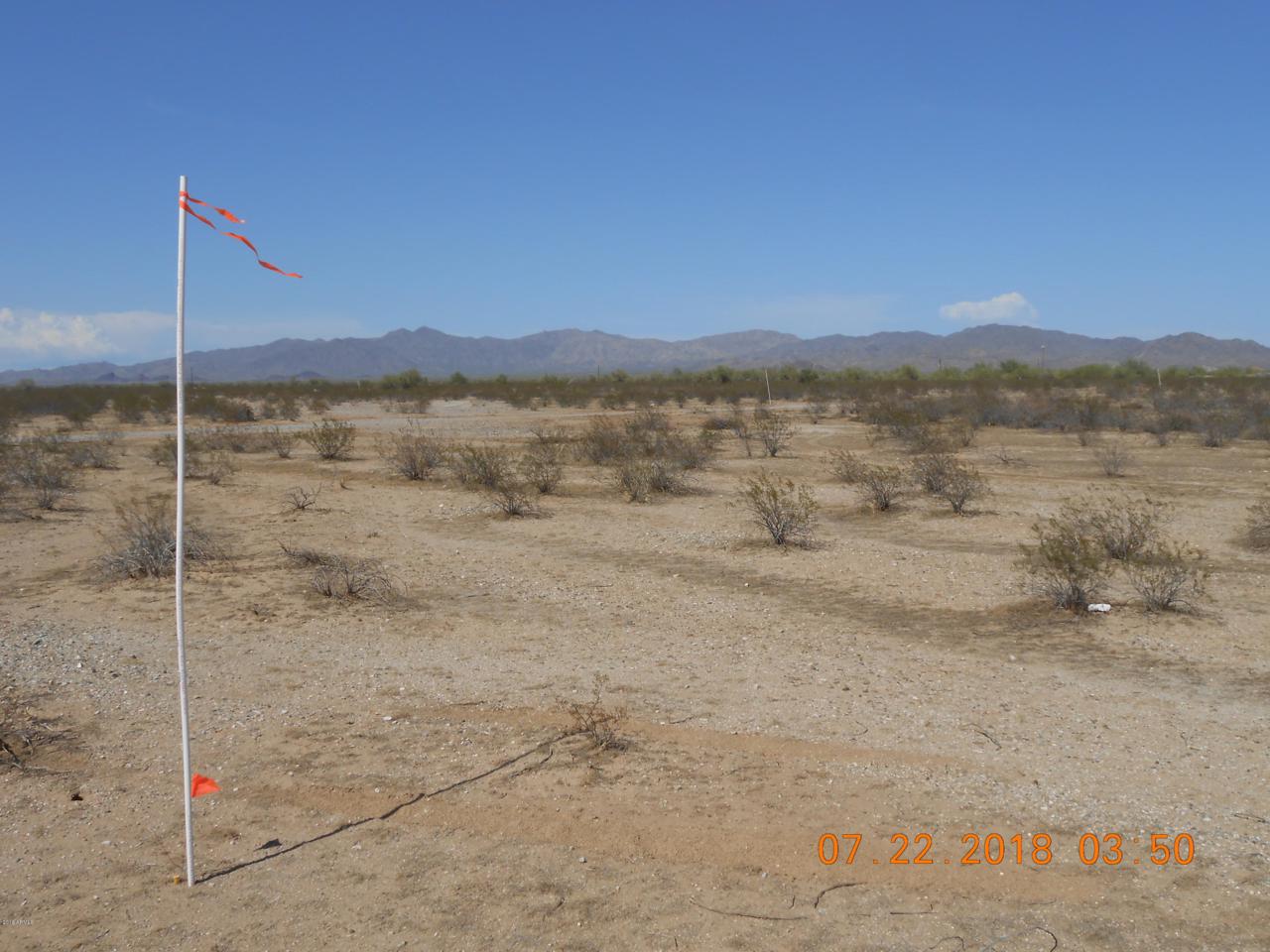 1230 297th Drive - Photo 1
