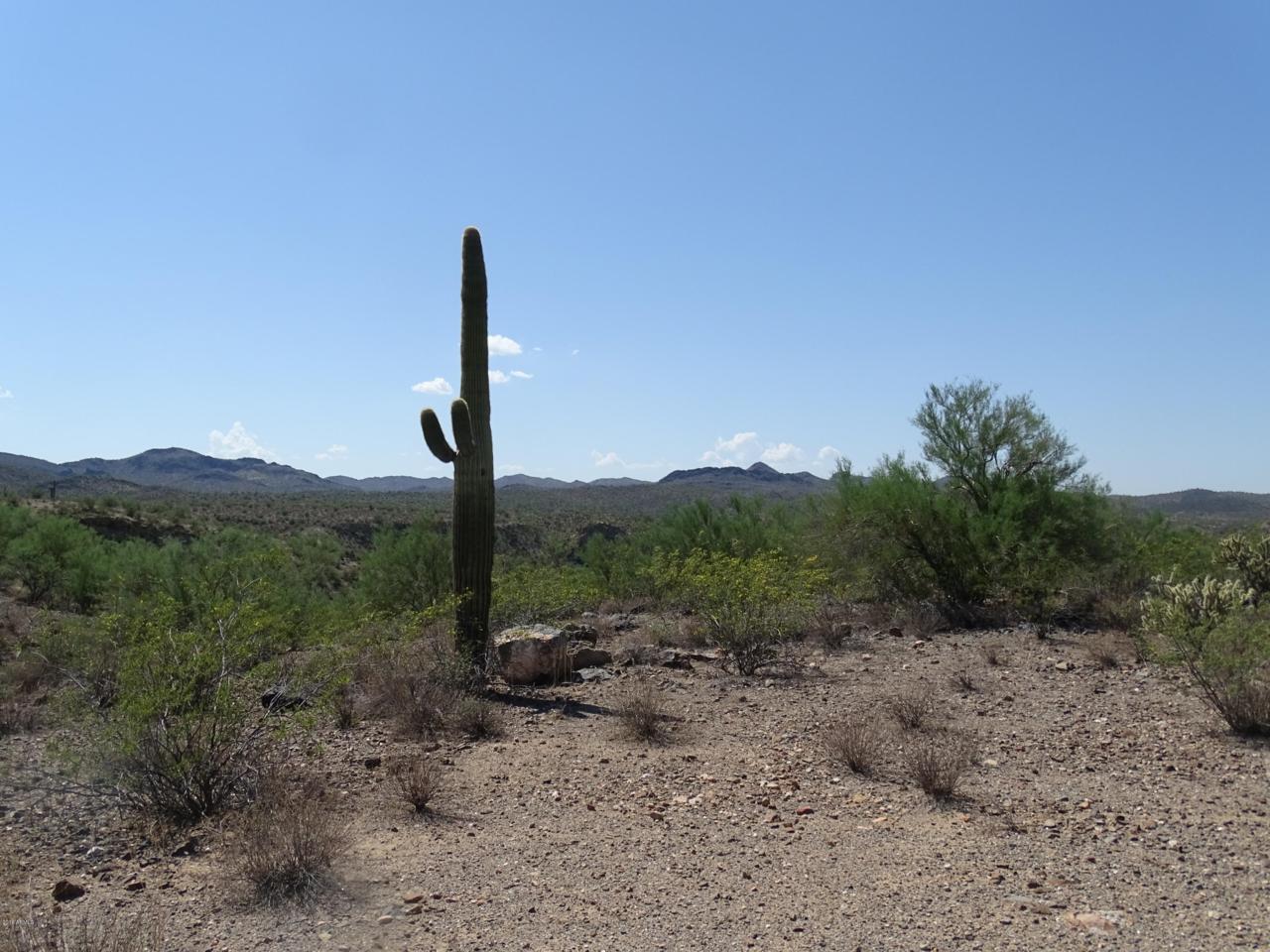 44635 Us Hwy 60 89 - Photo 1