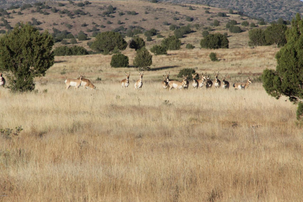 Lot 156 Antelope & Williamson Valley Road - Photo 1