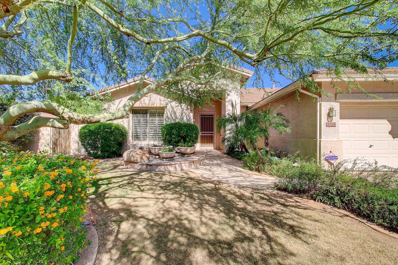8228 Via Montoya Drive - Photo 1