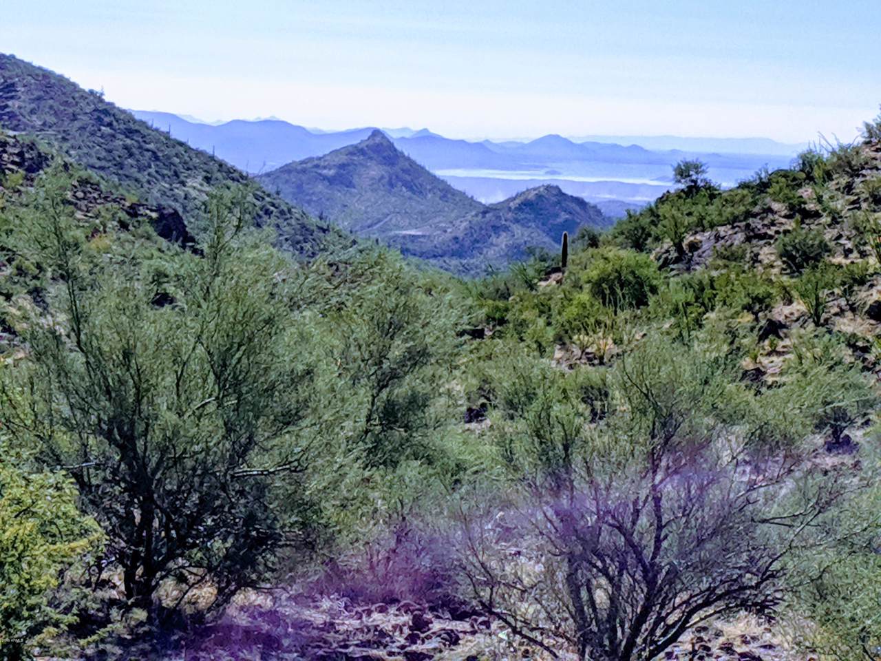 35150 V X Ranch Road - Photo 1