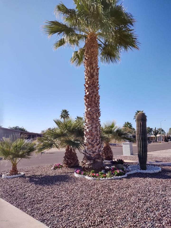 9040 Olive Lane - Photo 1