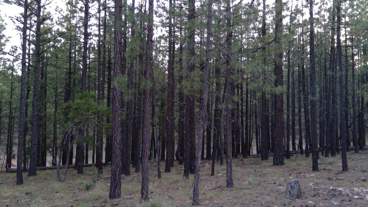 490 Tranquility Trail - Photo 1 490 Tranquility Trail - Photo 1