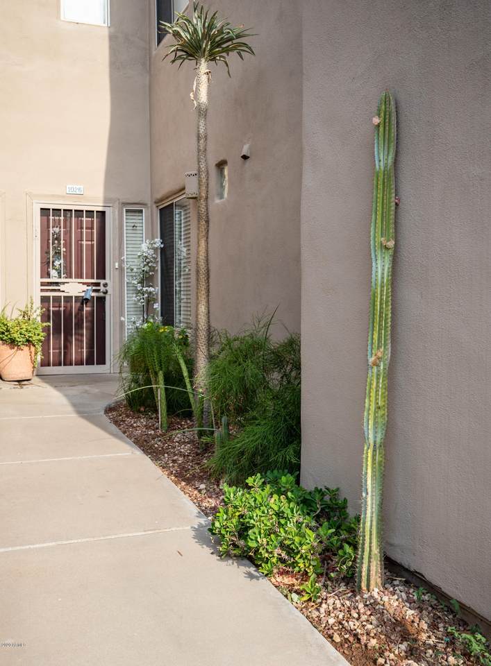 11260 92ND Street - Photo 1