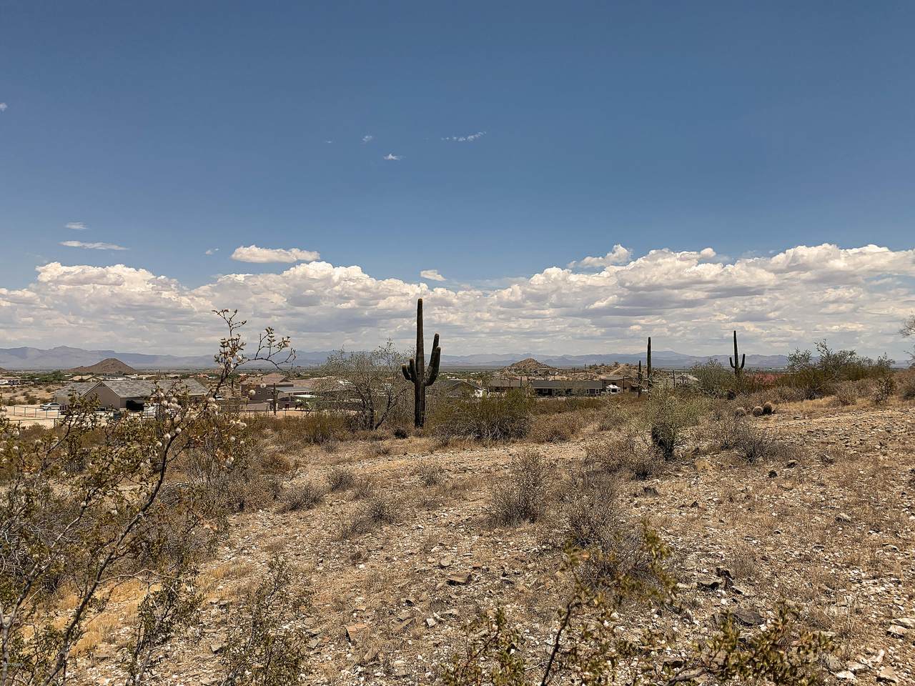 0 Royce Road - Photo 1