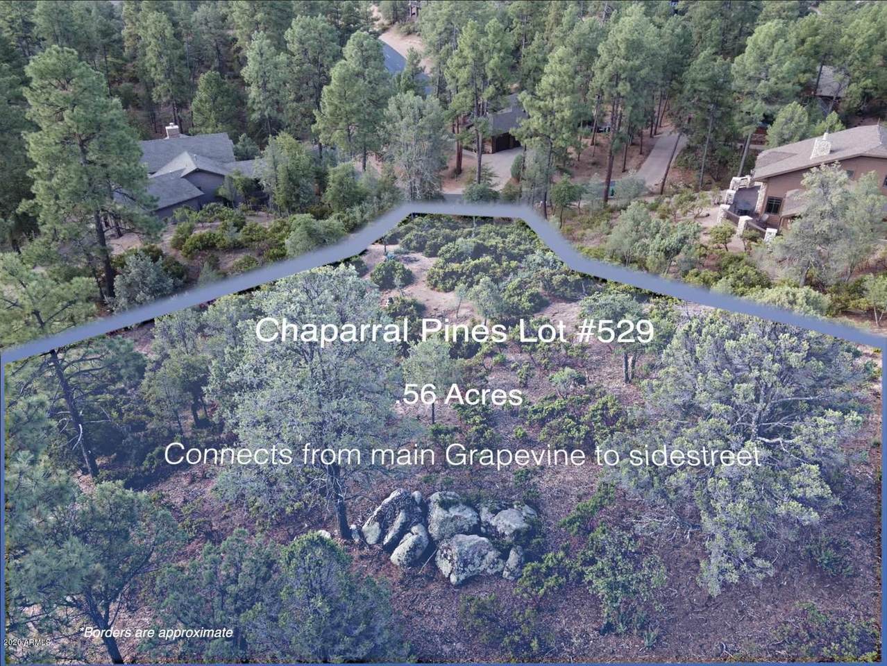 306 Grapevine Drive - Photo 1