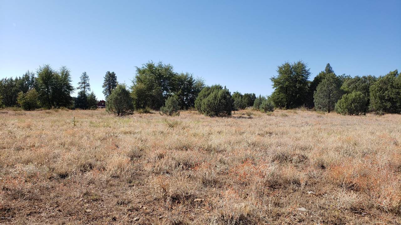 150 Cline Crossing - Photo 1