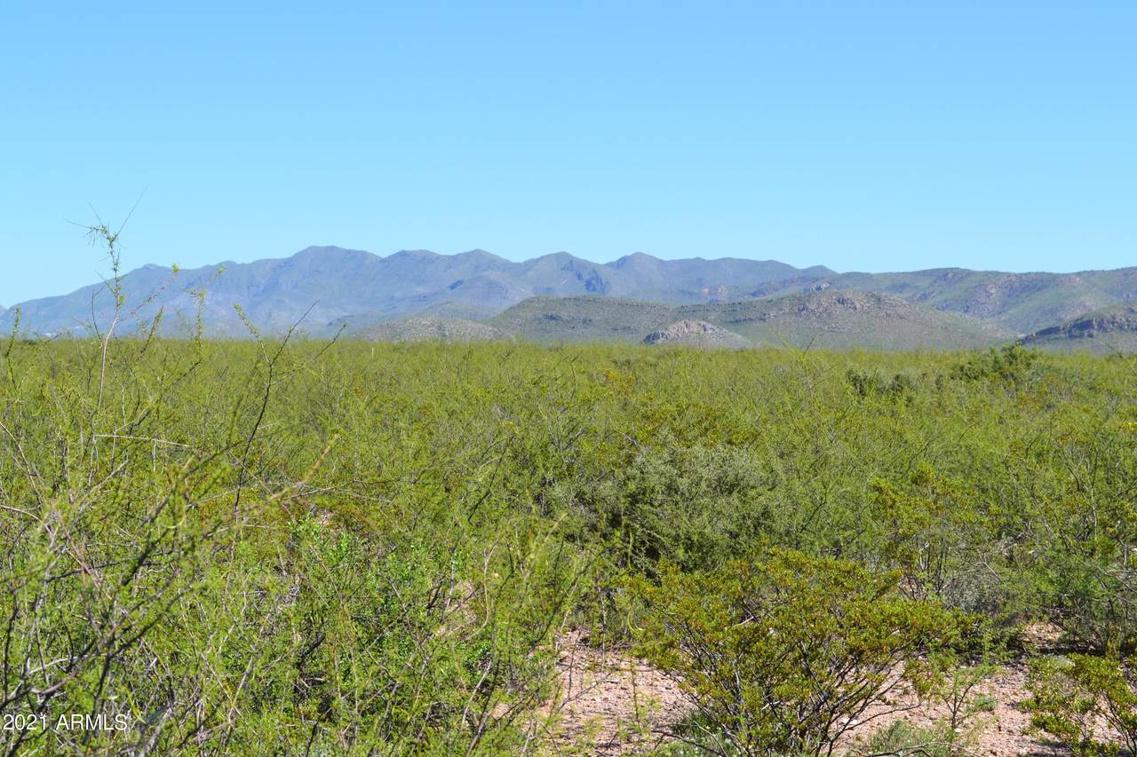 TBD Leslie Canyon Road - Photo 1