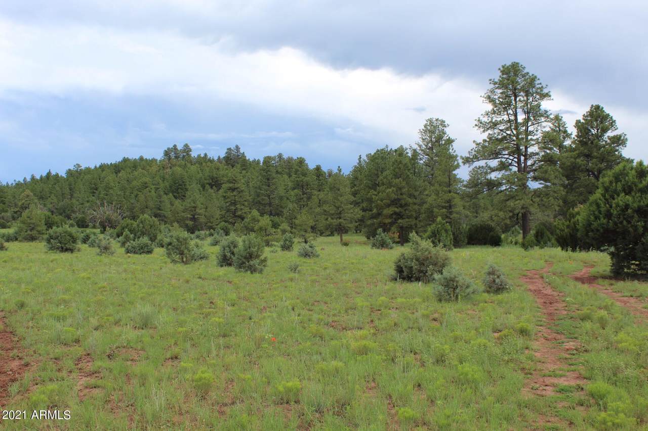 9801 Porter Mountain Road - Photo 1
