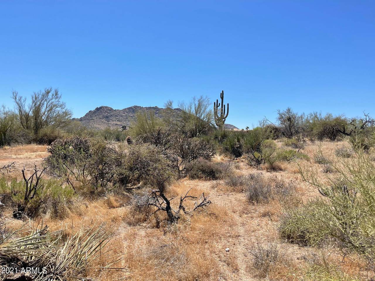 13750 aprx Westland Road - Photo 1