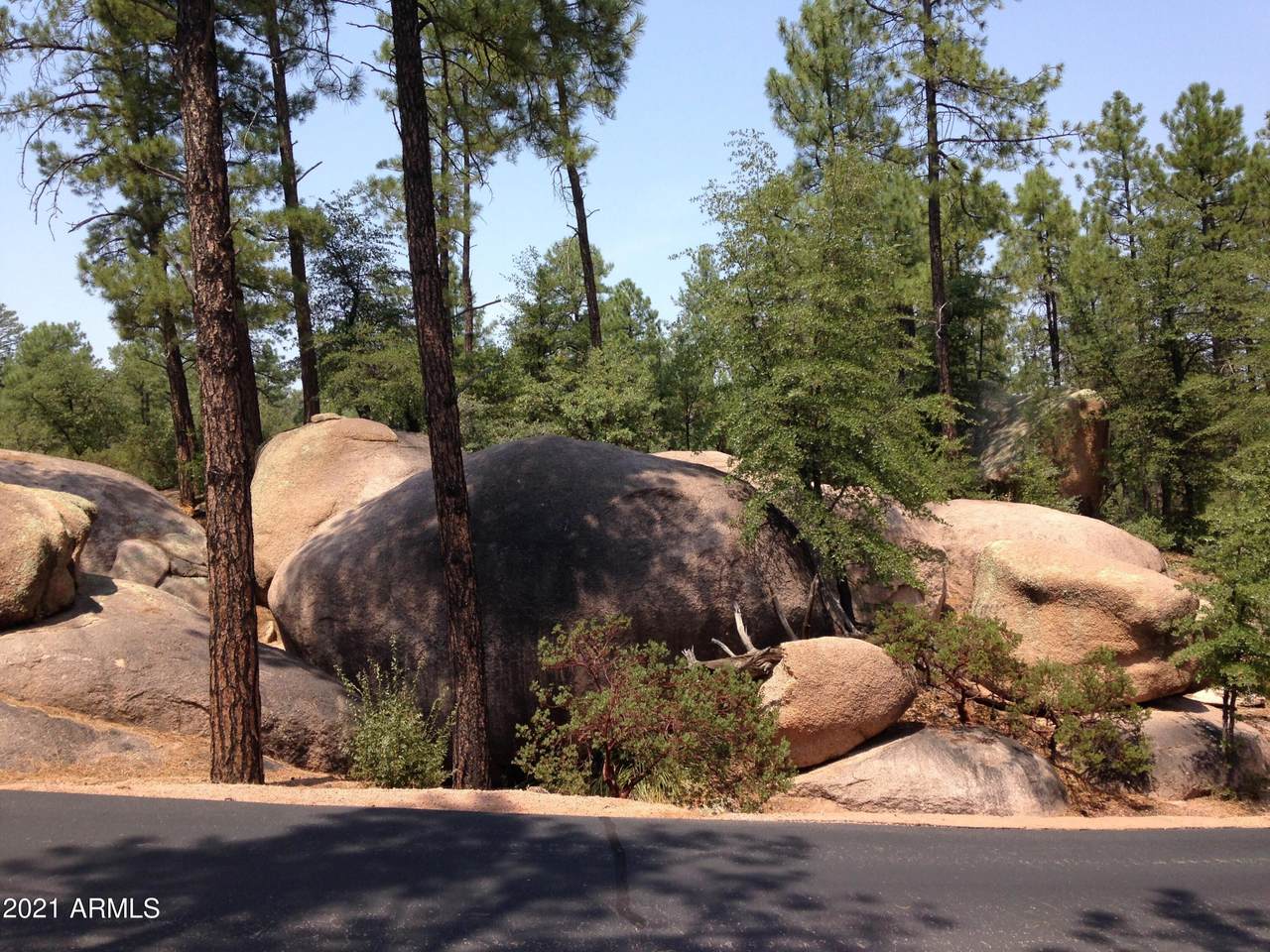 3006 Game Trail - Photo 1