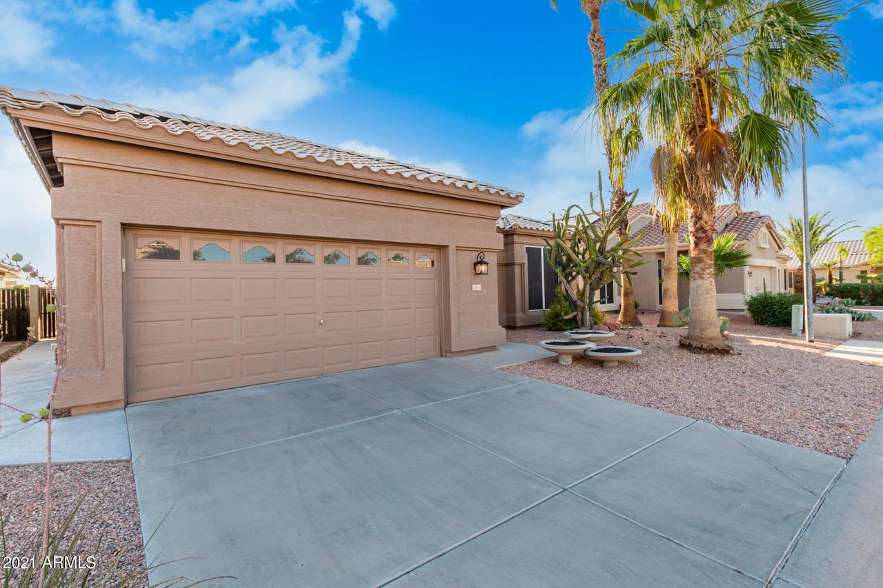 11557 Mountain Lion Court - Photo 1