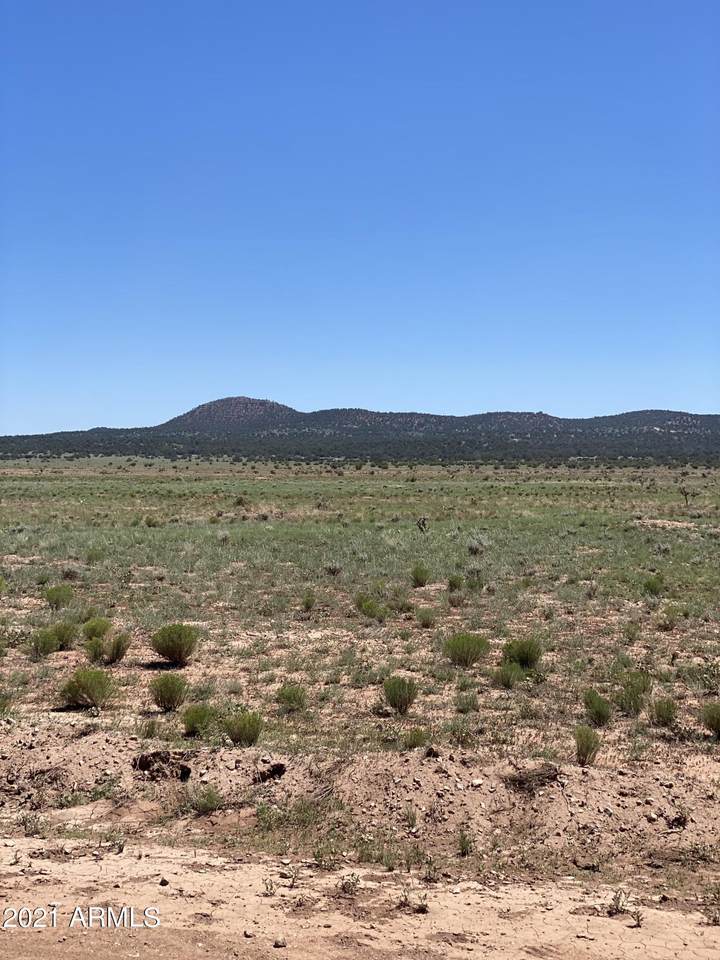 00 Wrangler Ridge Road - Photo 1