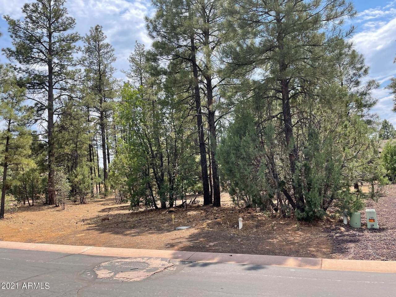 3321 Mariposa Lane - Photo 1