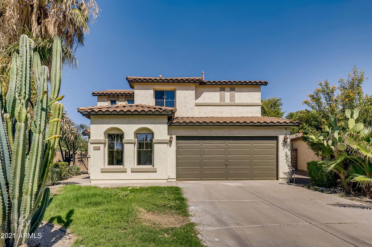 39527 Zampino Street - Photo 1