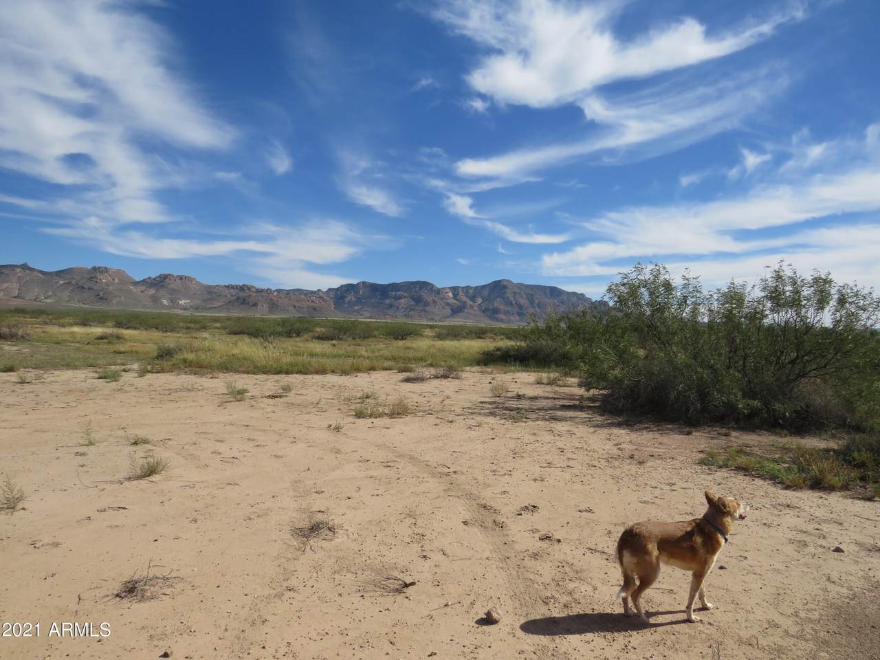 Three Triangle Ranches #38, 10 Acres - Photo 1