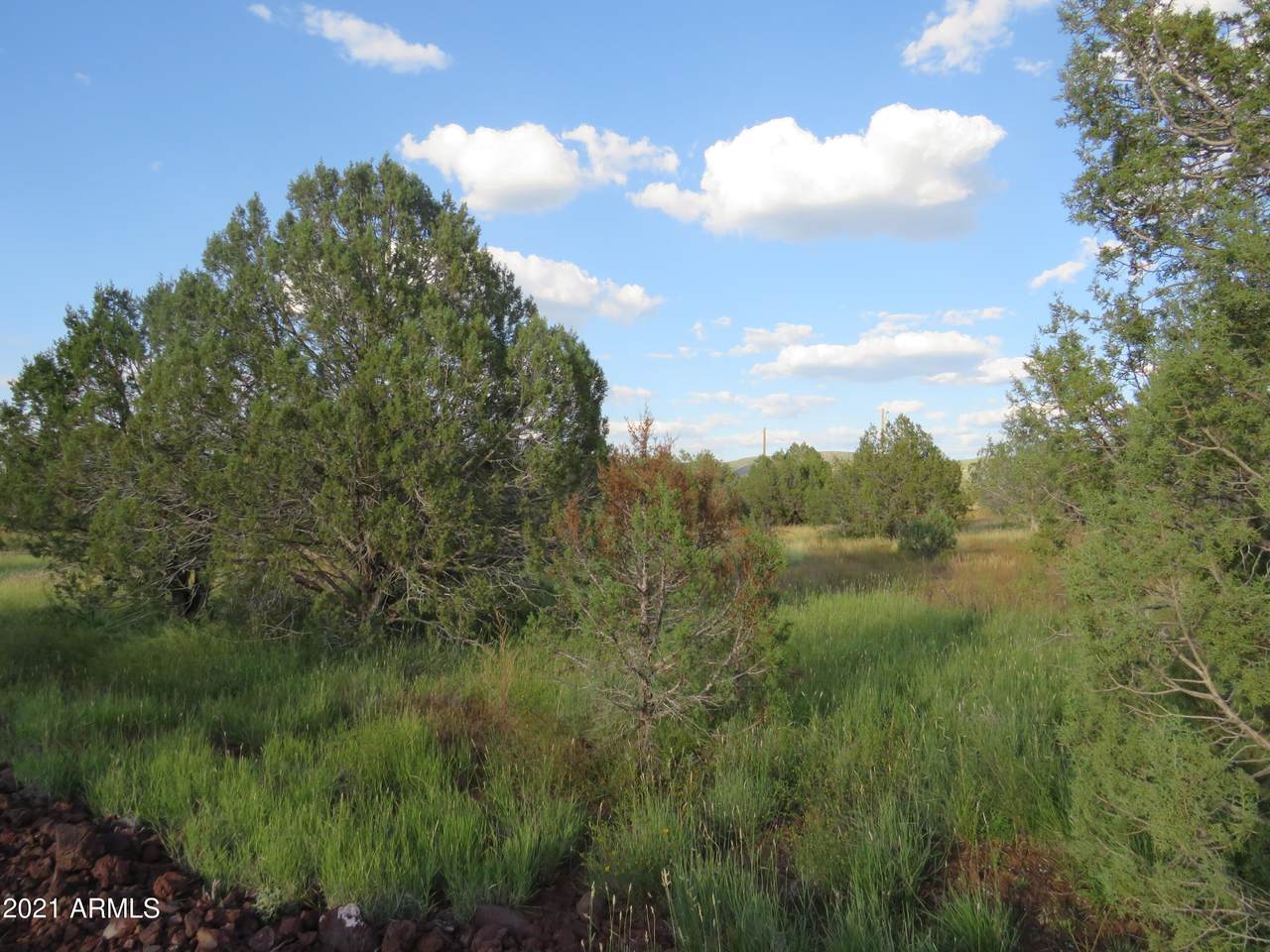 4301 Hillside Road - Photo 1